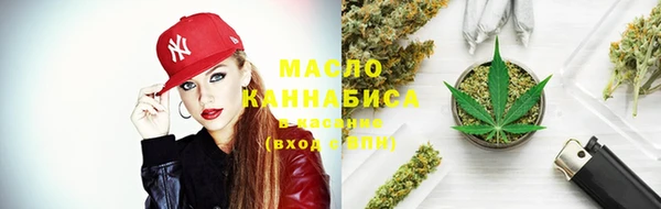 индика Абдулино